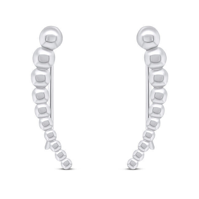 Hõbedased kõrvarõngad naistele Brilio Silver EA80W sBS1048 hind ja info | Kõrvarõngad | hansapost.ee