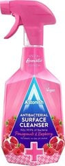 Antibakteriaalne vedelik Astonish, 750 ml hind ja info | Puhastusvahendid | hansapost.ee