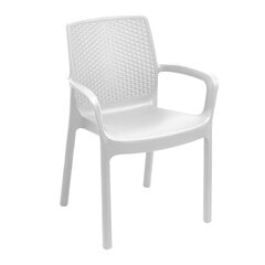 Стул Regina, белый цена и информация |  Садовые стулья, кресла, пуфы | hansapost.ee