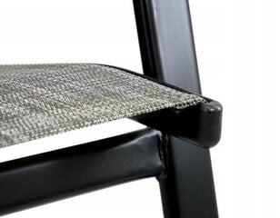 Комплект из 2-х садовых стульев, серый/черный цена и информация |  Садовые стулья, кресла, пуфы | hansapost.ee