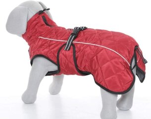 Куртка Trixie, S, 40 см цена и информация | Одежда для собак | hansapost.ee