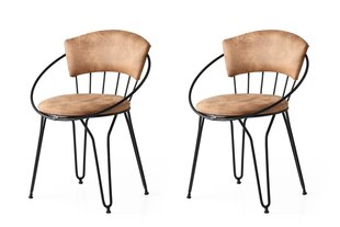 2-tooli komplekt Kalune Design Istanbul 268, beež/must hind ja info | Köögitoolid, söögitoolid | hansapost.ee