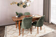 4-tooli komplekt Kalune Design Dallas 558, roheline/pruun hind ja info | Köögitoolid, söögitoolid | hansapost.ee