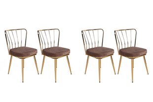 4 tooli komplekt Kalune Design Yildiz-927, kuldne/pruun цена и информация | Стулья для кухни и столовой | hansapost.ee