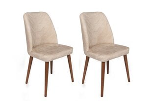 2-tooli komplekt Kalune Design Dallas Dallas-550, beež/pruun цена и информация | Стулья для кухни и столовой | hansapost.ee