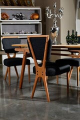 2-tooli komplekt Kalune Design Palace, hall/pruun hind ja info | Köögitoolid, söögitoolid | hansapost.ee