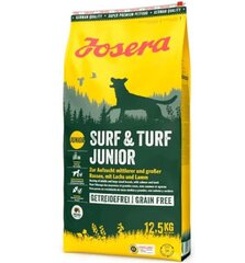 Josera Surf&Turf для средних и крупных пород с бараниной и лососем, 12.5 кг цена и информация | Сухой корм для собак | hansapost.ee
