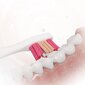 Sencor SOX103 hind ja info | Elektriliste hambaharjade otsikud | hansapost.ee