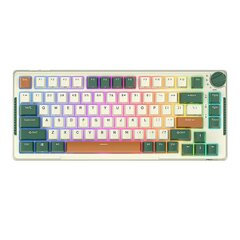 Wireless mechanical keyboard Royal Kludge RKH81 RGB, Sky cyan switch (green) цена и информация | Клавиатуры | hansapost.ee