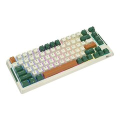 Wireless mechanical keyboard Royal Kludge RKH81 RGB, Sky cyan switch (green) цена и информация | Клавиатура с игровой мышью 3GO COMBODRILEW2 USB ES | hansapost.ee
