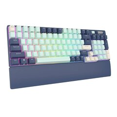 Royal Kludge RK96 черный беспроводная механическая клавиатура | 90%, Hot-swap, RGB, Red Switches, US цена и информация | Клавиатуры | hansapost.ee