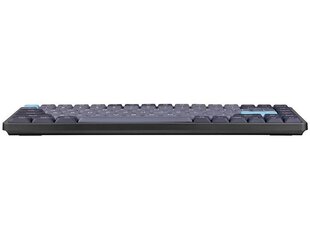 Tracer TRAKLA47308 цена и информация | Клавиатура с игровой мышью 3GO COMBODRILEW2 USB ES | hansapost.ee