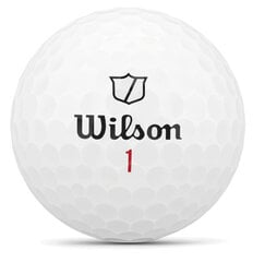 Набор мячиков для гольфа Wilson Staff Model X, 12 шт. цена и информация | Golf | hansapost.ee