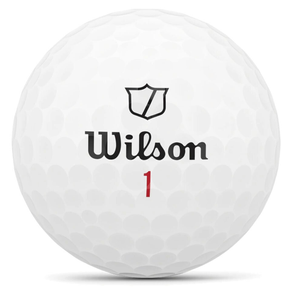 Golfpallide komplekt Wilson Staff Model X, 12-osaline цена и информация | Golf | hansapost.ee