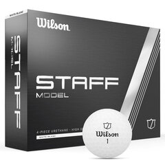 Набор мячиков для гольфа Wilson Staff Model, 12 шт. цена и информация | Golf | hansapost.ee