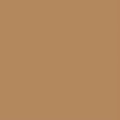 Картон цветной, А3, 20 шт., 170г/м2, светло-коричневый цена и информация | Тетради и бумажные товары | hansapost.ee
