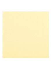 Värviline papp, A3, 20 tk., 170g/m2, vanilje hind ja info | Vihikud, märkmikud ja paberikaubad | hansapost.ee