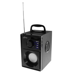 Media-Tech Boombox Silver MT3179 цена и информация | Аудиоколонки | hansapost.ee