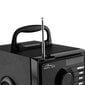 Media-Tech Boombox Silver MT3179 цена и информация | Kõlarid | hansapost.ee