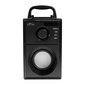 Media-Tech Boombox Silver MT3179 цена и информация | Kõlarid | hansapost.ee