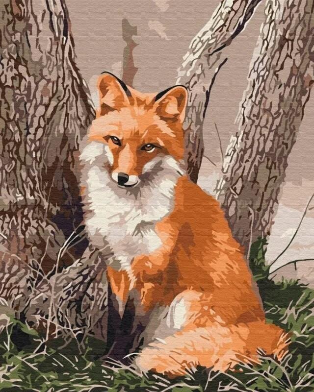 Symag numbrimaal The Fox in the Forest hind ja info | Maalimiskomplektid numbrite järgi | hansapost.ee