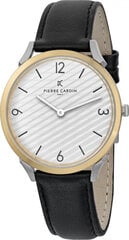 Käekell meestele Pierre Cardin CPI-2015 price and information | Käekellad meestele | hansapost.ee