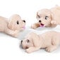 Nuku loomaarsti komplekt Evi Love Puppy Doctor Simba, 105733647, 6 tk цена и информация | Mänguasjad tüdrukutele | hansapost.ee