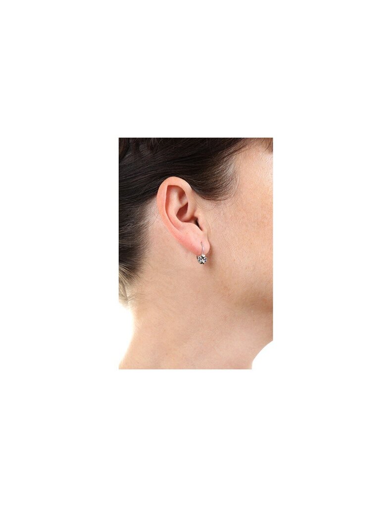 Hõbedased kõrvarõngad naistele tsirkooniumiga Brandberry E0000570 sMM0070 цена и информация | Kõrvarõngad | hansapost.ee