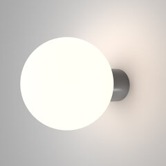 Maytoni Настенный светильник для наружного применения Bold O598WL-01GR1 серый цена и информация | Уличные светильники | hansapost.ee
