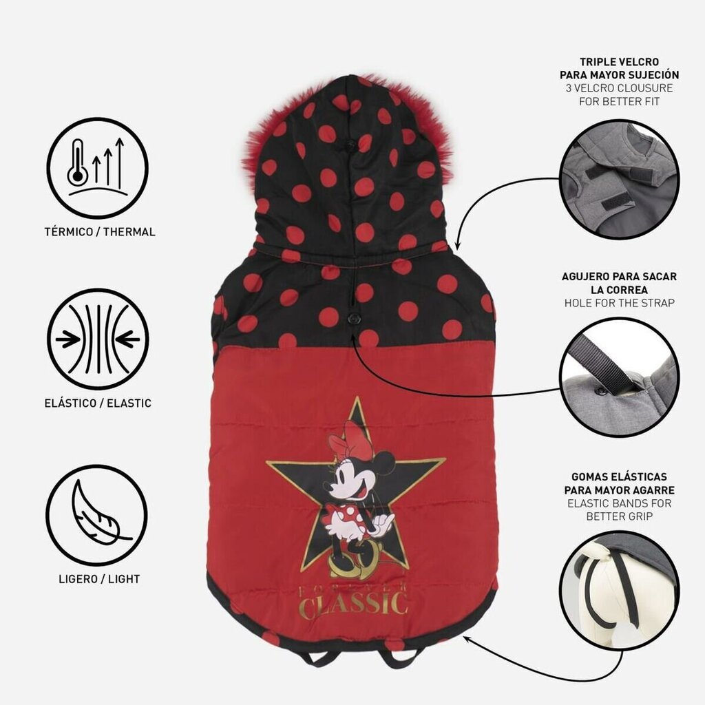 Koera mantel Minnie Mouse L Punane цена и информация | Koerte riided | hansapost.ee