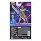 Figuur Marvel Legends Warrior Gamora, 15 cm цена и информация | Mänguasjad poistele | hansapost.ee