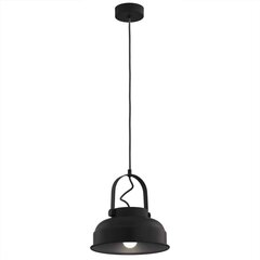 Argon подвесной светильник Dakota 8285 цена и информация | Люстры | hansapost.ee
