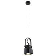 Argon подвесной светильник Logan 8291 цена и информация | Люстры | hansapost.ee