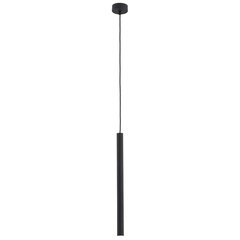Argon подвесной светильник Etna Plus 8067 цена и информация | Потолочный светильник, 38 x 38 x 24 см | hansapost.ee