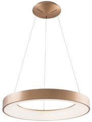 Azzardo подвесной светильник Santana AZ5013 цена и информация | Потолочный светильник, 38 x 38 x 24 см | hansapost.ee