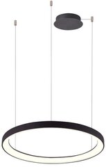 Azzardo подвесной светильник Agnes AZ5016 цена и информация | Потолочный светильник, 38 x 38 x 24 см | hansapost.ee