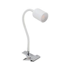 TK Lighting настольный светильник Top цена и информация | Настольная лампа | hansapost.ee