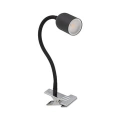 TK Lighting настольный светильник Top цена и информация | Настольная лампа | hansapost.ee