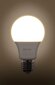 Lambipirnid Led Retlux A60, 2x12W, E27, 2tk. hind ja info | Lambipirnid ja LED-pirnid | hansapost.ee