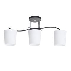 Candellux laelamp Esnyr hind ja info | Laelambid | hansapost.ee