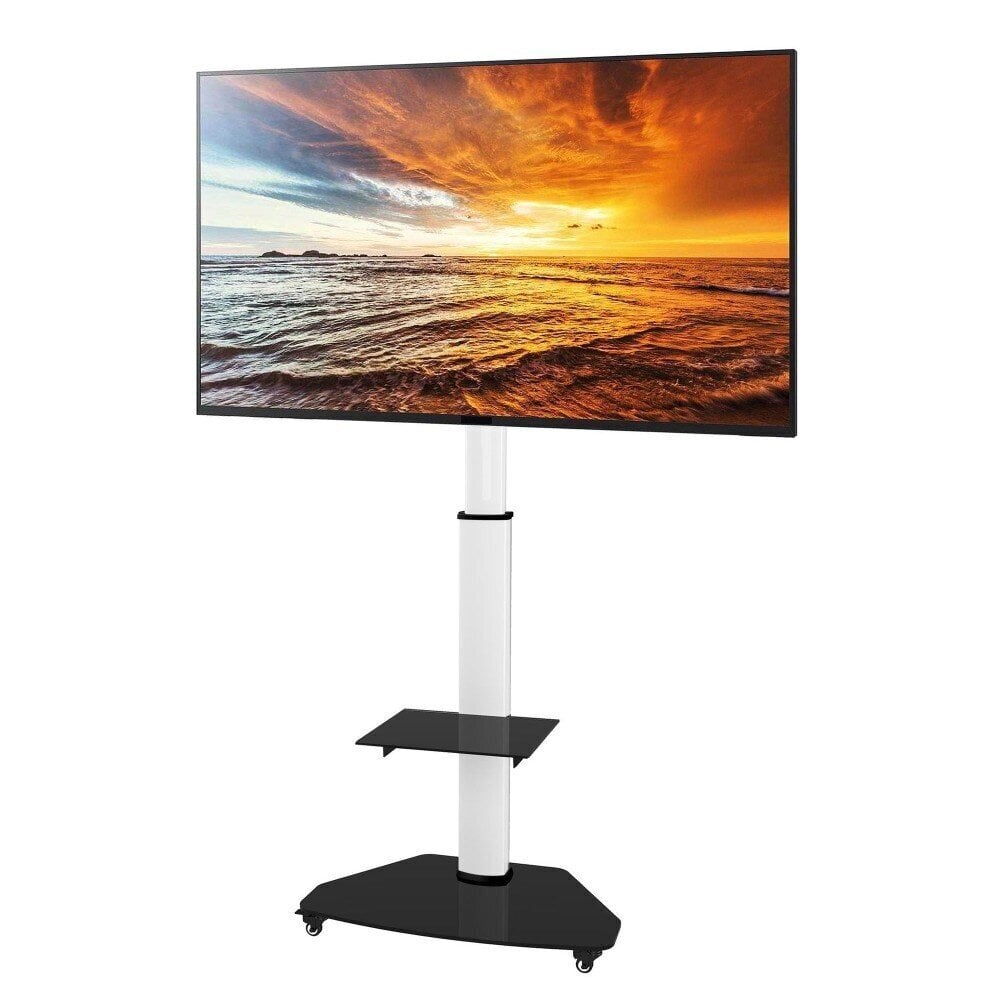 Techly 37-70" price and information | Teleri seinakinnitused ja hoidjad | hansapost.ee