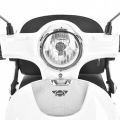 Электрический трехколесный велосипед Hecht Citismax, белый цвет цена и информация | Hecht Спорт, досуг, туризм | hansapost.ee