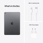 Apple iPad (2021) Hall 10,2" hind ja info | Tahvelarvutid | hansapost.ee