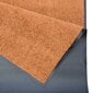 Hanse Home uksematt Wash & Clean, 60x90 cm цена и информация | Uksematid | hansapost.ee