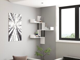Seina riiul, Asir, 105x60x20cm, valge hind ja info | Riiulid | hansapost.ee
