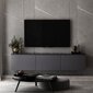 TV alus Asir, 160x35x32 cm, hall цена и информация | Televiisori alused | hansapost.ee