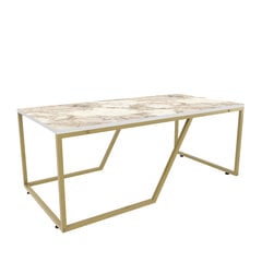 Diivanilaud Asir, 120x60x48 cm, valge/kuldne price and information | Coffee tables | hansapost.ee