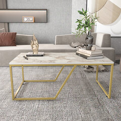 Diivanilaud Asir, 120x60x48 cm, valge/kuldne price and information | Coffee tables | hansapost.ee