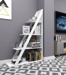 Книжный шкаф Asir, белый. цена и информация | Полки | hansapost.ee