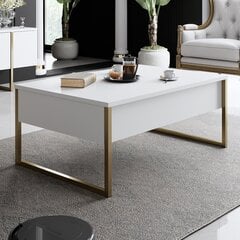 Kohvilaud 90cm x 60cm x 40xm, valge price and information | Coffee tables | hansapost.ee